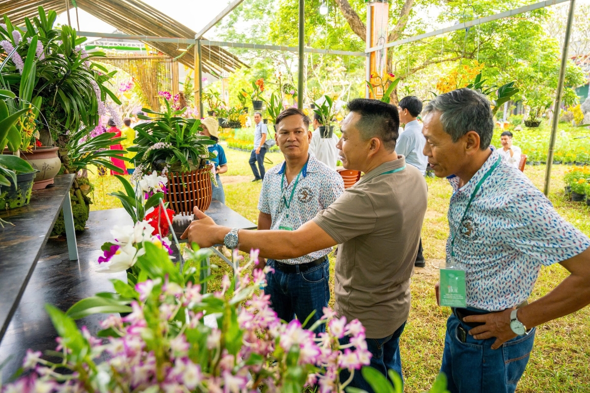 Du khách thích thú chiêm ngưỡng các tác phẩm phong lan đa dạng sắc màu.