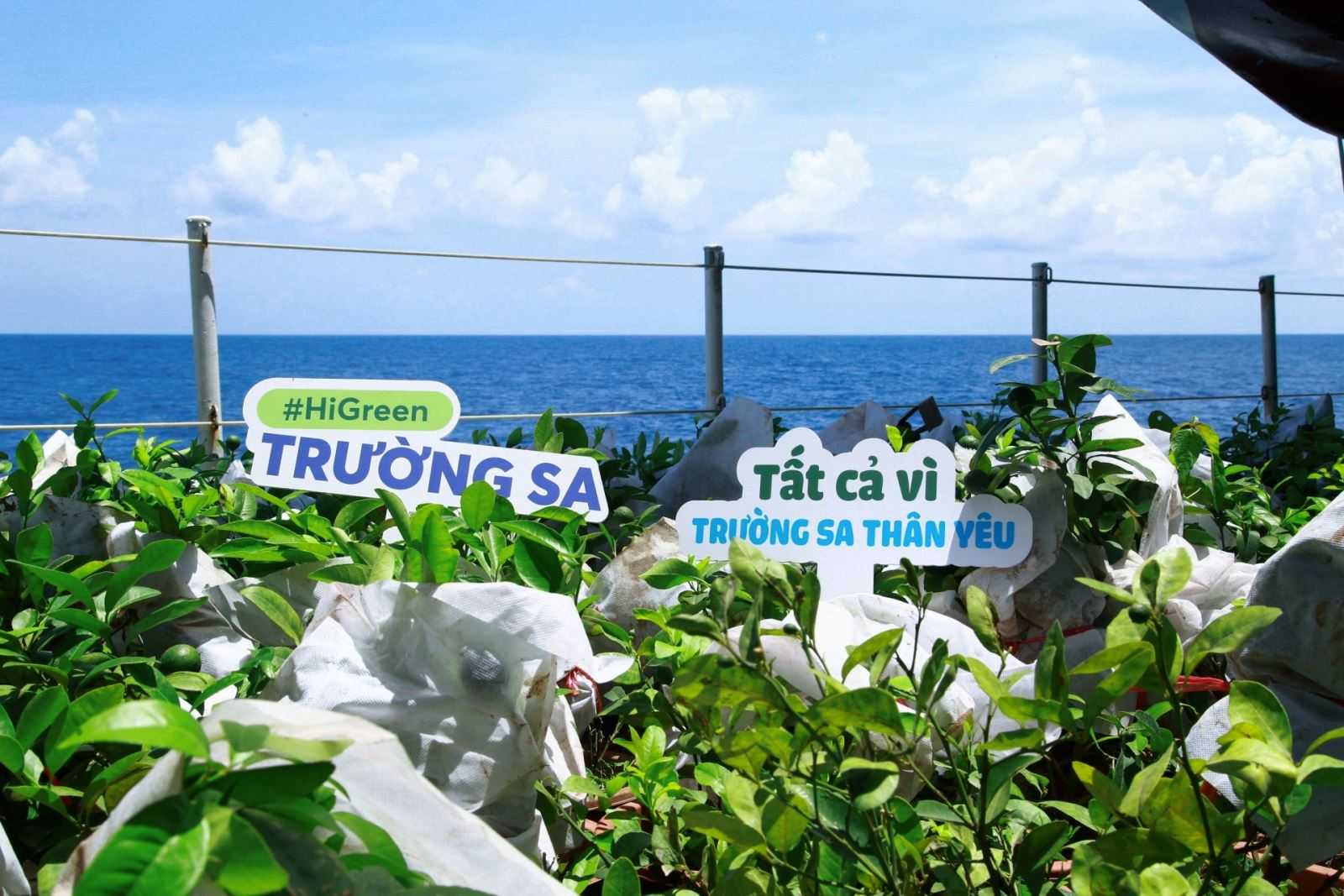 Từ HiGreen Trường Sa đến trách nhiệm bền bỉ của hậu phương
